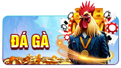 Đá gà