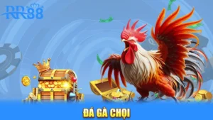 Đá gà chọi