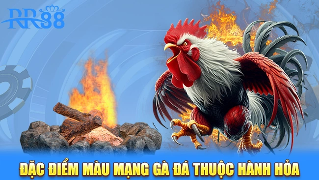 Đặc điểm màu mạng gà đá thuộc hành Hỏa